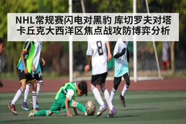 NHL常规赛闪电对黑豹 库切罗夫对塔卡丘克大西洋区焦点战攻防博弈分析 | Queen Bounty